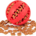 Interactive Rubber Treat Dispensing Ball