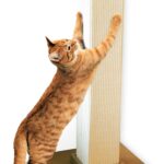 32-Inch Tall Ultimate Sisal Scratching Post with Simple Design for Full Body Stretch, Beige