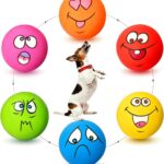 Rubber Treat Dispensing Squeaky Ball