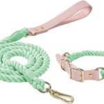 Thickened Shock-Absorbing Dog Leash and Collar Set