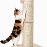 32-Inch Tall Scratching Post with 5.5-Inch Diameter Natural Sisal Surface and Dangling Ball for Indoor Cats, Beige