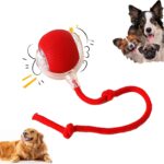 Smart Rolling Rubber Treat Dispensing Ball