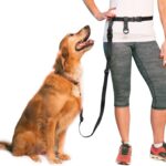 Thickened Shock-Absorbing Dog Leash