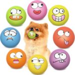 Rubber Treat Dispensing Squeaky Ball