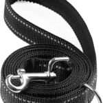 Thickened Shock-Absorbing Reflective Dog Leash with Padded Handle