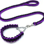 Thickened Shock-Absorbing Nylon Braided Dog Collar and Leash Set