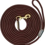 Thickened Shock-Absorbing Nylon Long Tracking Dog Leash